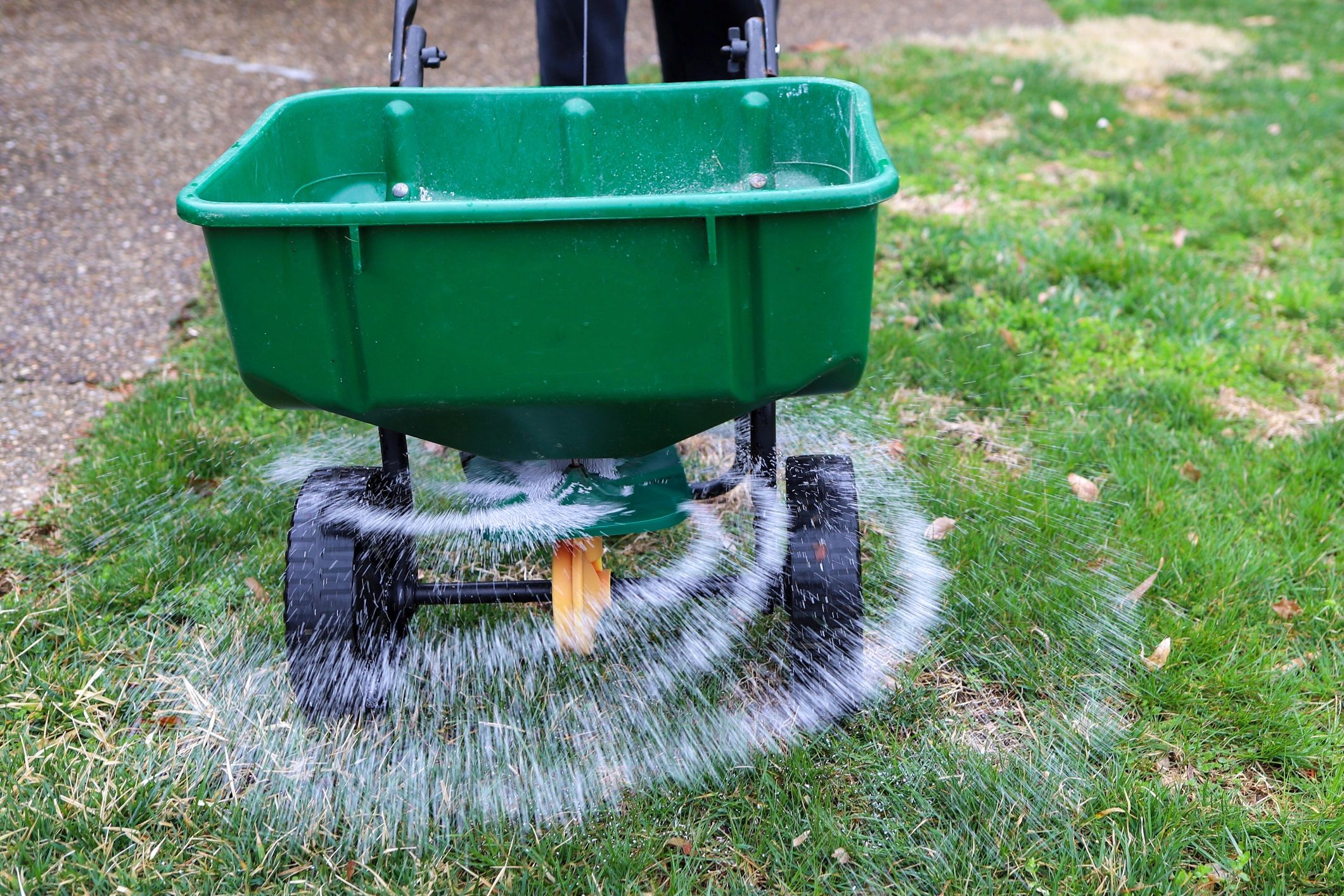 Fertilizer spreader on a lawn