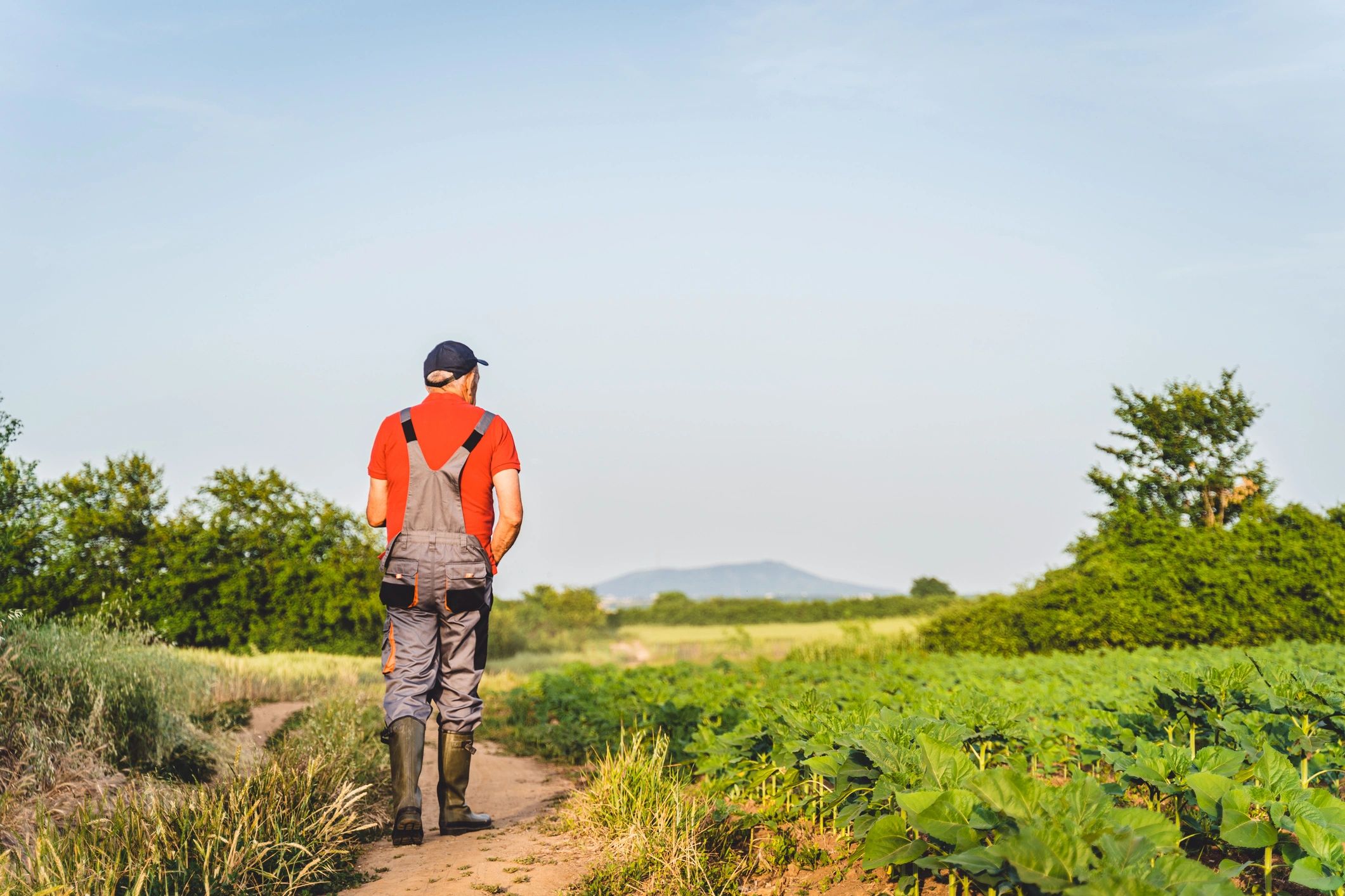 Professional outdoors in a field